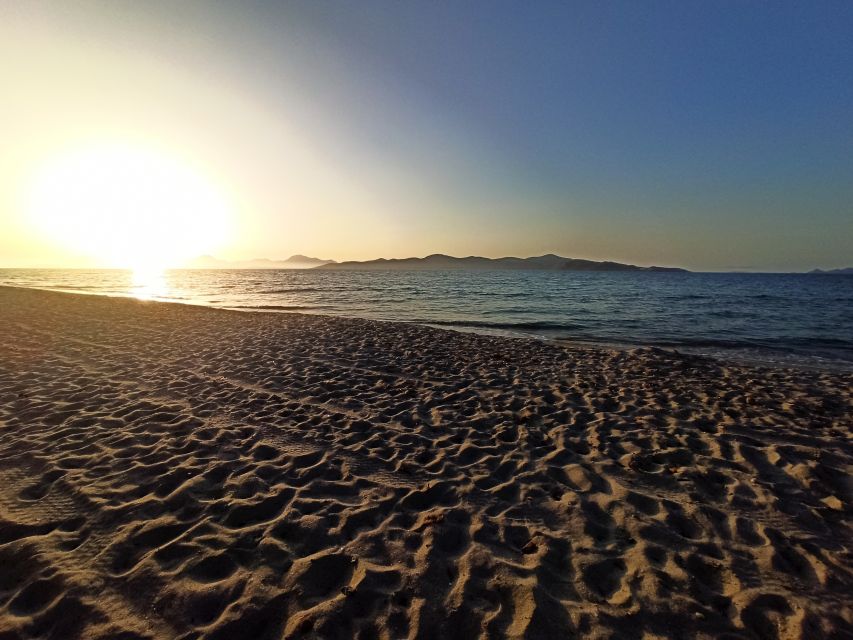 Kos: Horse Riding Experience on the Beach with Instructor - Key Highlights Worth Showing Up For