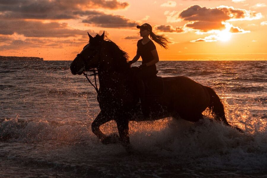 Kos: Horse Riding Experience on the Beach with Instructor - The Pre-Ride Lesson: Instruction That Lowers the Nerves