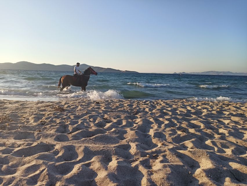 Kos: Horse Riding Experience on the Beach with Instructor - Who the Instructor Works For Best