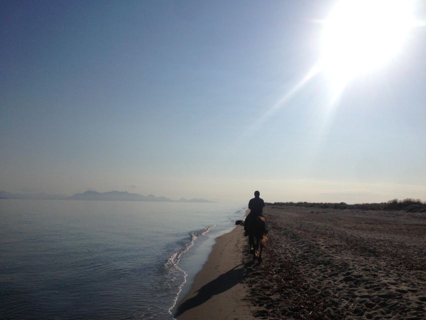 Kos: Horse Riding Experience on the Beach with Instructor - What to Bring, and What to Expect From the End