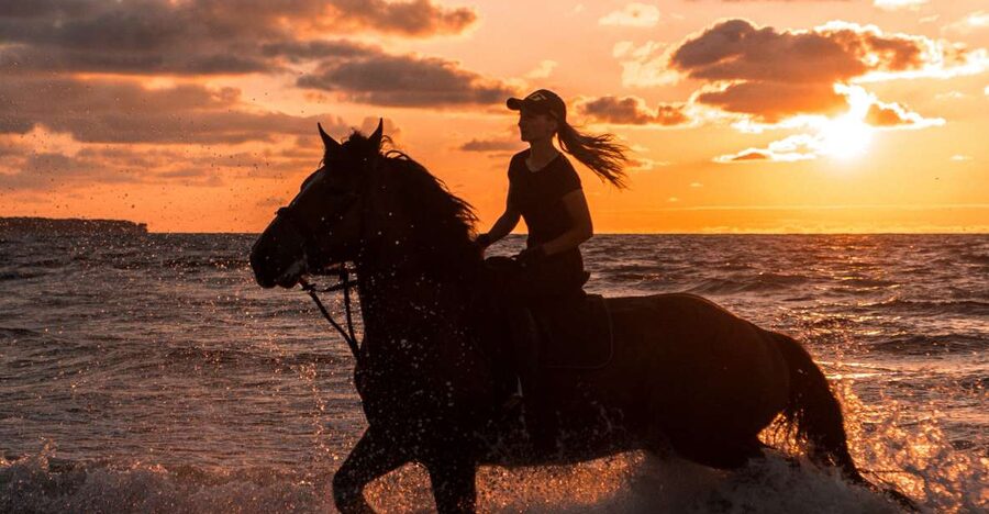 Kos: Horse Riding Experience on the Beach with Instructor - Getting Picked Up: Kos Hotels, Tigaki, and Smooth Transfer