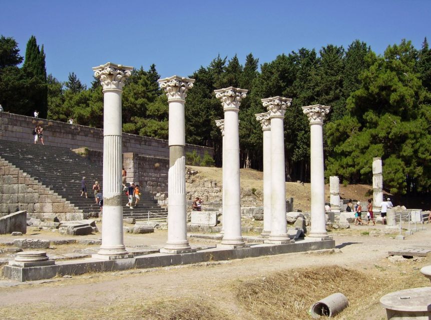 Kos: Island Highlights Bus Tour with Greek Honey Tasting - Kos town orientation: harbor, castle, and the Hippocrates tree
