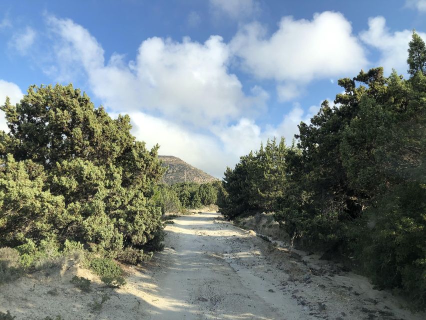 Kos : Off the Beaten Track Tour in Kefalos & Cavo Paradiso - Cavo Paradiso beach break: swimming time, photo time, and a real rest