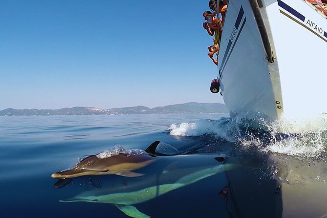 Kos: Small Group Full-Day Sailing with Meal, Drinks, & Swim - Greek Lunch Onboard and Drinks That Actually Add Value