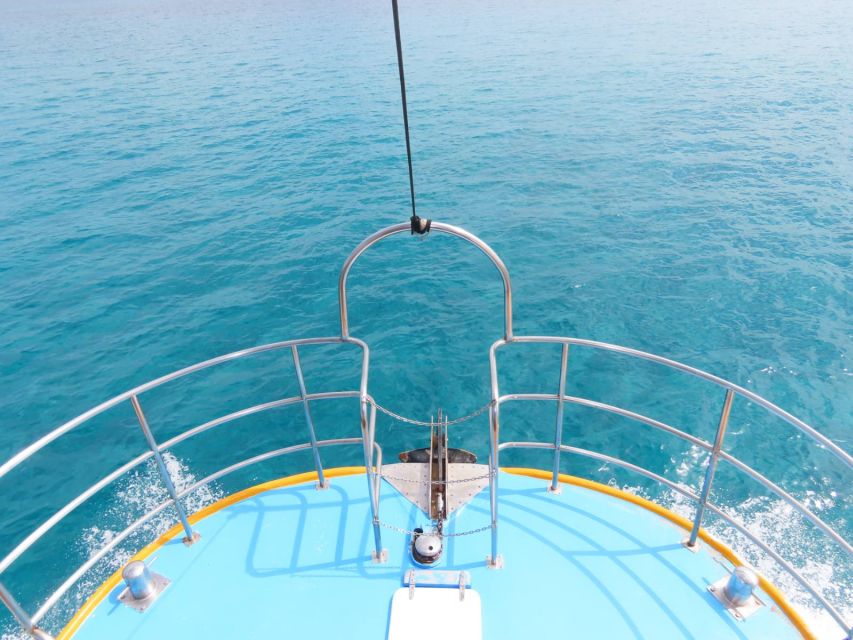 Kos Town: Glass-Bottom Boat Cruise with Swimming Stops - Practical tips to make your cruise better