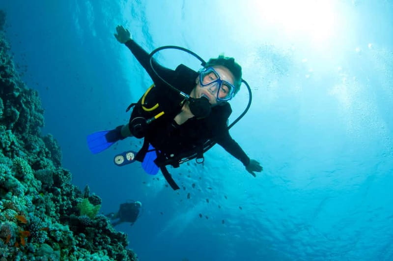 Kos: Try Scuba Diving with a diving boat - Key takeaways before you go