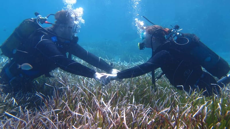 Kos: Try Scuba Diving with a diving boat - Who This Course Suits Best in Kos, and Who Might Skip It