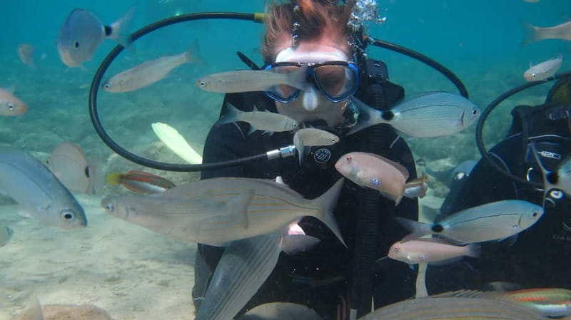 Kos: Try Scuba Diving with a diving boat - First Underwater Session in a Protected Bay, Max 5 Meters