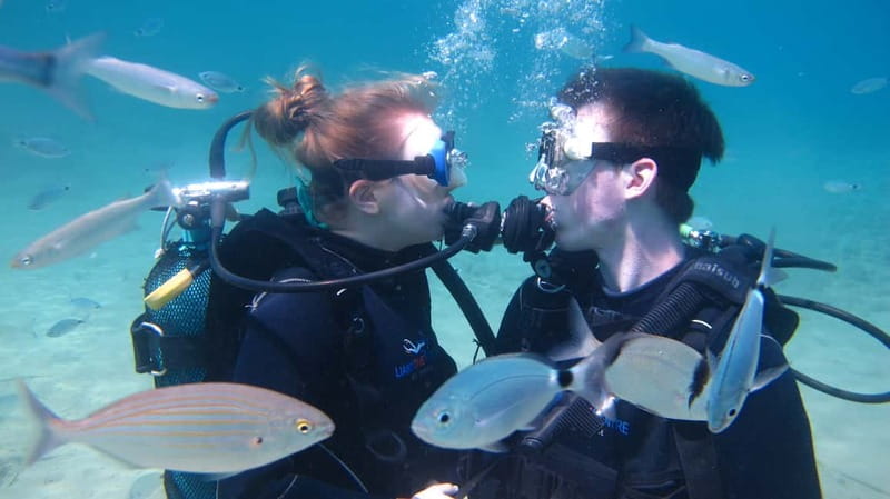Kos: Try Scuba Diving with a diving boat - Conditions, Limits, and Practical Know-Before-You-Go Rules