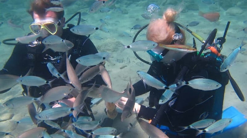 Kos: Try Scuba Diving with a diving boat - The 08:30 Boat Ride to Pserimos, with Real Time on the Water