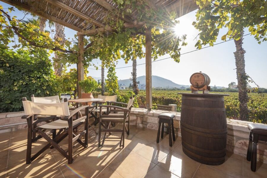 Kos: Wineries Tour w/ Wine Tastings & Transportation - Hatziemmanouil Winery: learn the process, then taste with your own pace