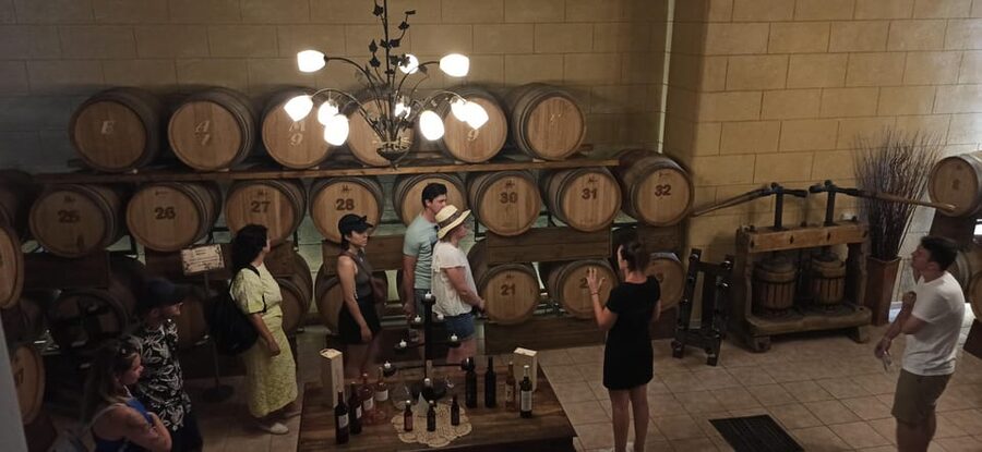 Kos: Wineries Tour w/ Wine Tastings & Transportation - The wine pairing bites: why they matter more than you think