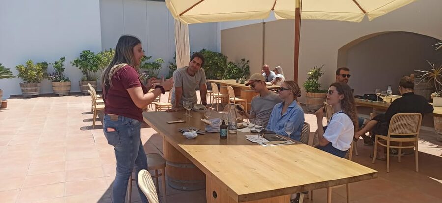 Kos: Wineries Tour w/ Wine Tastings & Transportation - Who should book this, and who might skip it