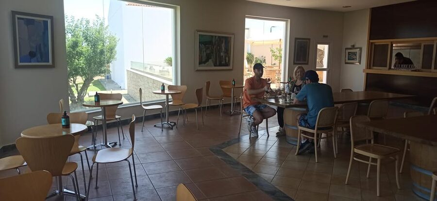 Kos: Wineries Tour w/ Wine Tastings & Transportation - The “should I buy bottles?” question