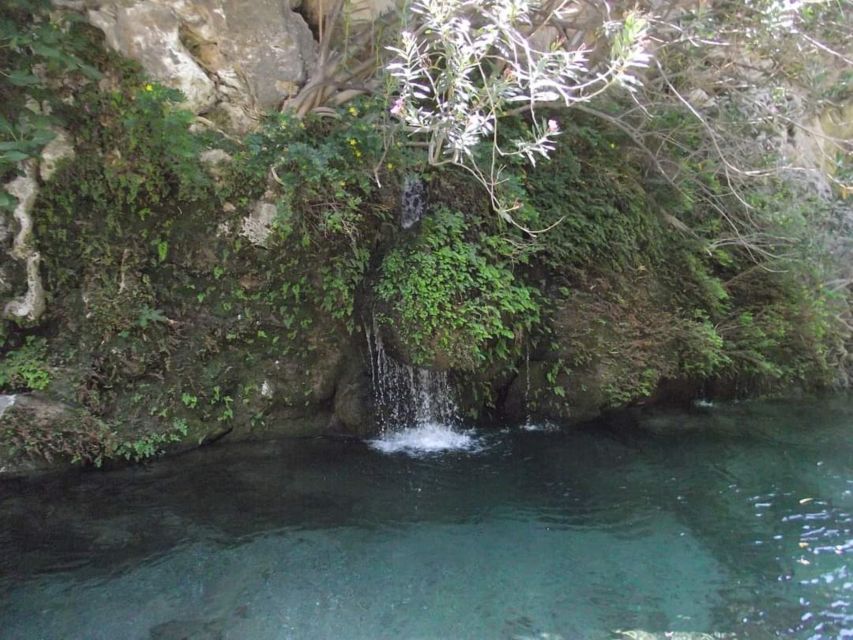 Kourtaliotiko Gorge River Trek with Lunch! Pick-up Avaliable - The old olive grove exit, Banana Garden lunch, and a slower finish
