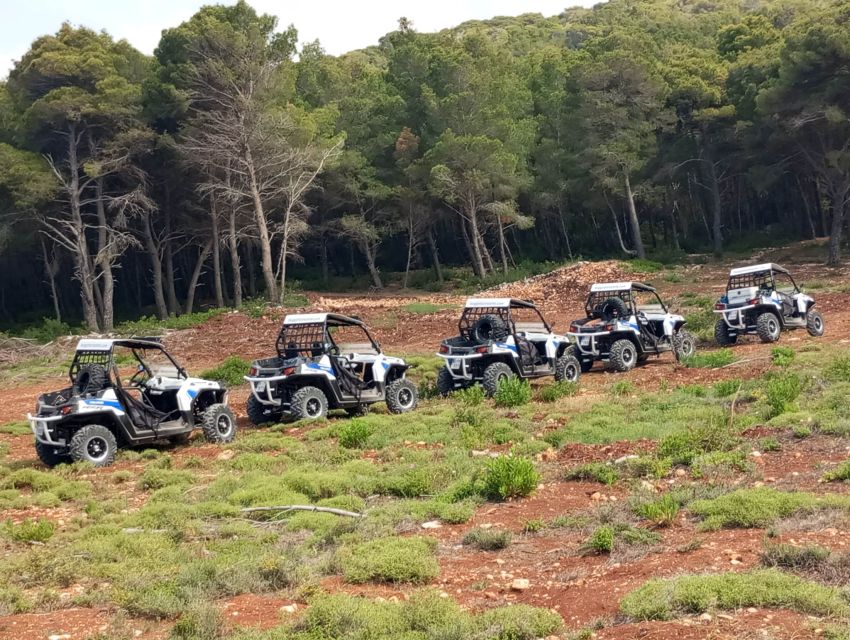 Laganas: Off-Road Buggy Adventure in Zakynthos with Lunch - Loucha lunch at an old farmhouse: Gina’s home cooking in the shade