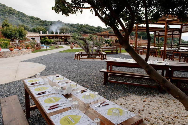 Lassithi, Zeus Cave, Olive Mill Farm & Knossos Combo Tour - Knossos Palace with a live guide: how to read the ruins fast
