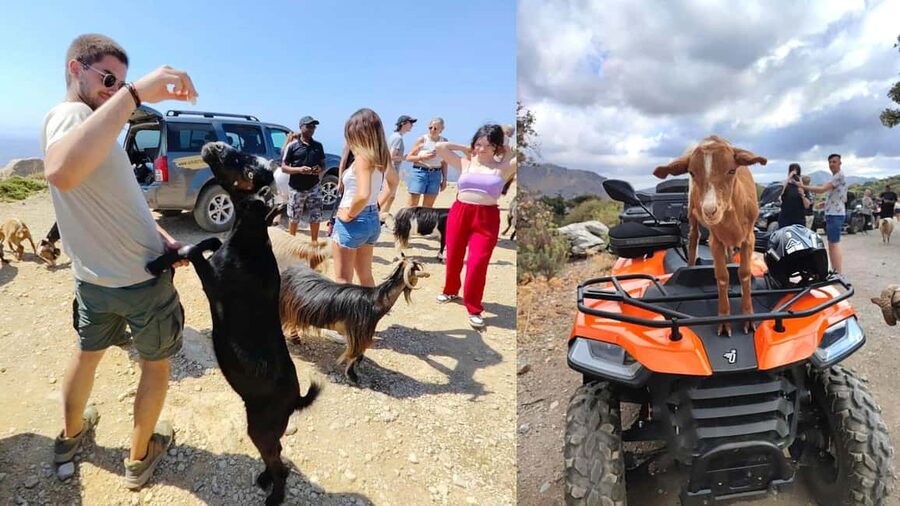 Malia: Off-Road Quad Safari Tour with Lunch and Transfers - Key highlights before you go