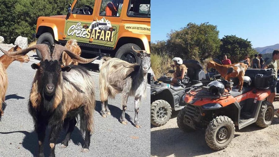Malia: Off-Road Quad Safari Tour with Lunch and Transfers - Pickup, small group size, and how quad sharing works