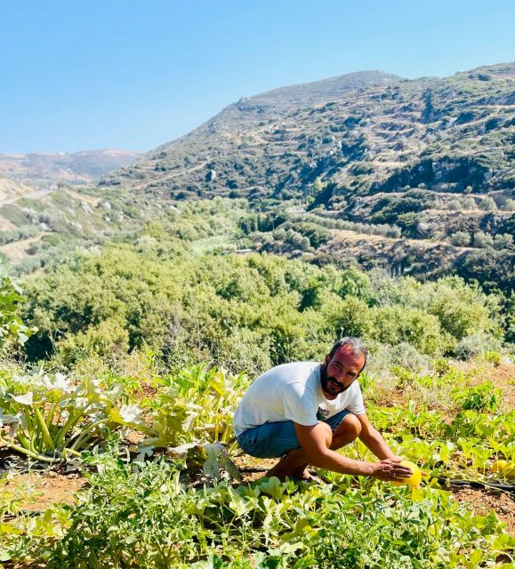 Melanes: Naxos Perivoli Farm & Cooking Class with Wood Fire - Is € value really there? My take on the $117 price