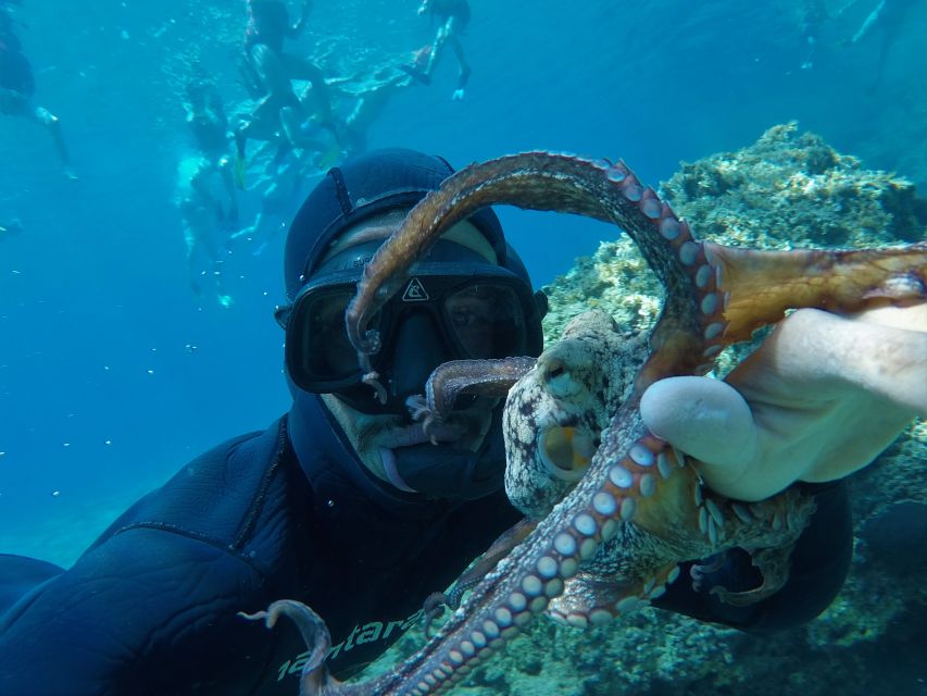 Milos: Half-Day Speedboat Cruise to Klefiko with Snorkeling - West Milos cruise: Kleftiko first, then Sykia Cave