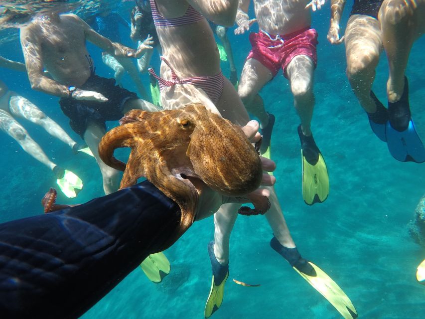 Milos: Half-Day Speedboat Cruise to Klefiko with Snorkeling - Snacks, drinks, and the GoPro plus drone photo package