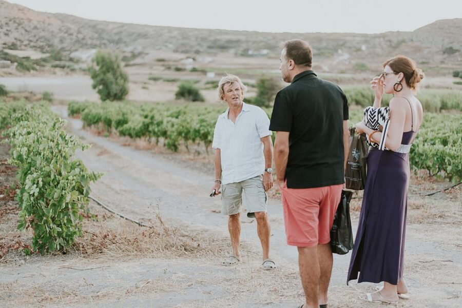 Milos Island: Kostantakis Winery Wine Tasting Experience - The cave cellar stop: seeing where the wines wait