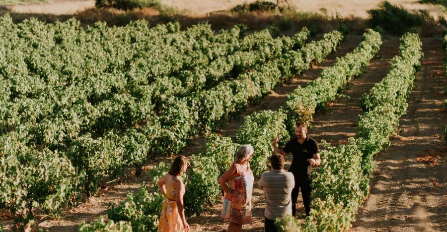Milos Island: Kostantakis Winery Wine Tasting Experience - Small group size, pacing, and how long it really feels