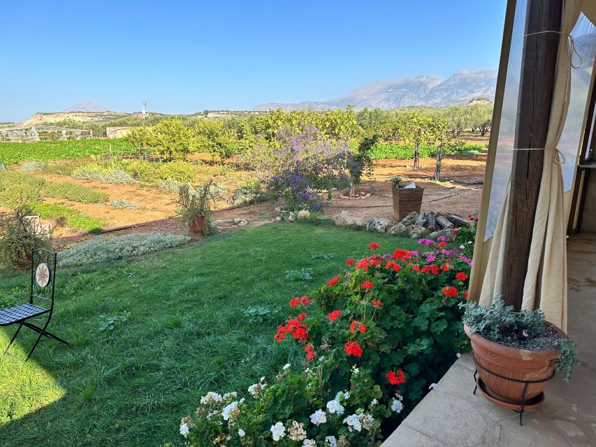 Moires: Cooking Class and Olive Oil Tasting at a Family Farm - Who should book this class, and who might skip it