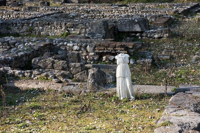 Mount Olympus And Dion Full-Day Tour From Athens By Train - Stop 1, Dion Archaeological Park: Macedonians Meet Olympus