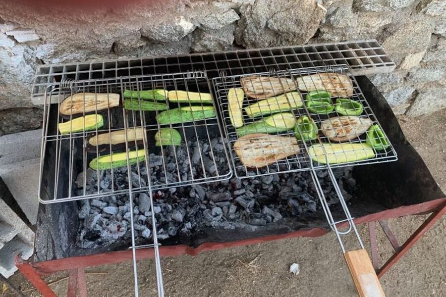 Mykonos: Barbecue at a Mykonian Farm - The organic farm tour, plus animal time with donkey Konstantis