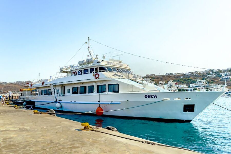 Mykonos: Delos Boat Transfer with Cell Phone Audioguide - Transfers and meeting points: choose the option that matches your day