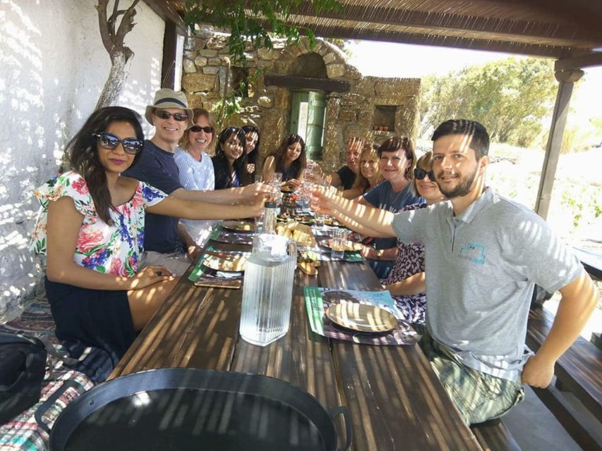 Mykonos: Farm, Ano Mera Village, and Beaches Guided Tour - Why this 4-hour Mykonos circuit is such good value