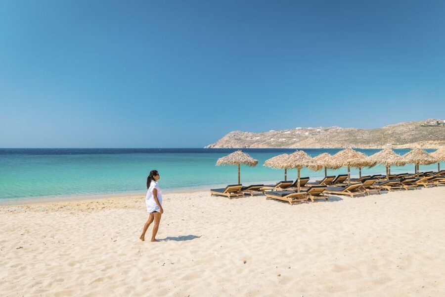 Mykonos: Full-Day South Coast Cruise - Dragonissi Island and Its Caves, Weather Dependent but Worth the Hope