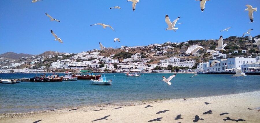Mykonos: Highlights Tour with Panagia Tourliani Monastery - Tour Pacing, Group Size, and Price Value at $128