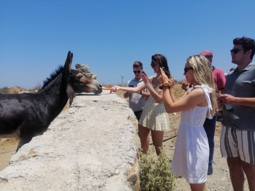 Mykonos: Highlights Tour with Panagia Tourliani Monastery - Getting Oriented in Mykonos Town on Foot