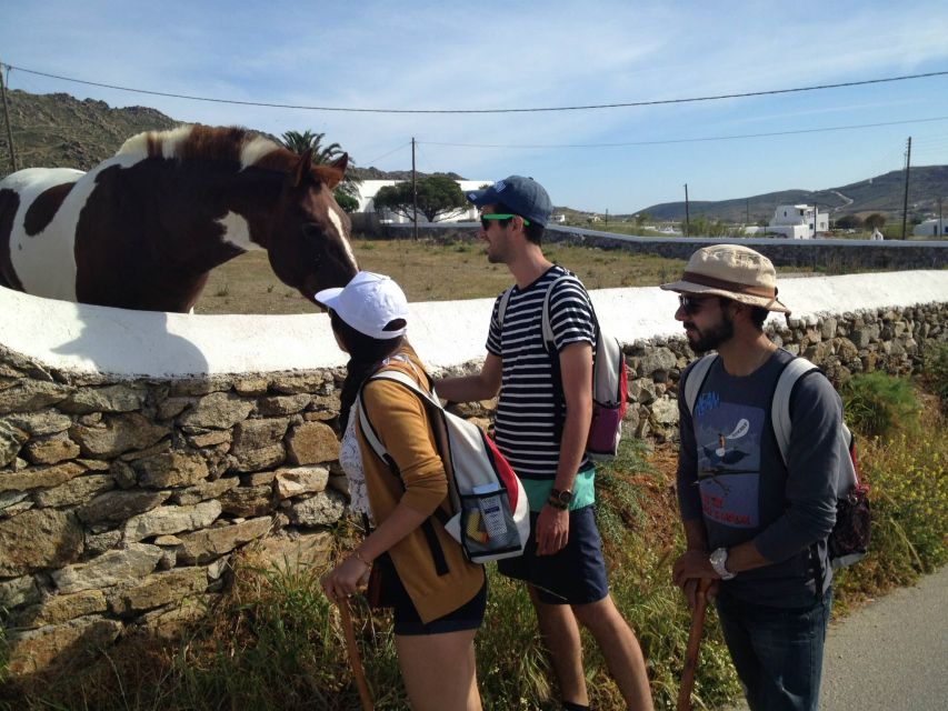 Mykonos Hiking Adventure - Guides you will actually remember: Leti, Ioanna, Stephanie