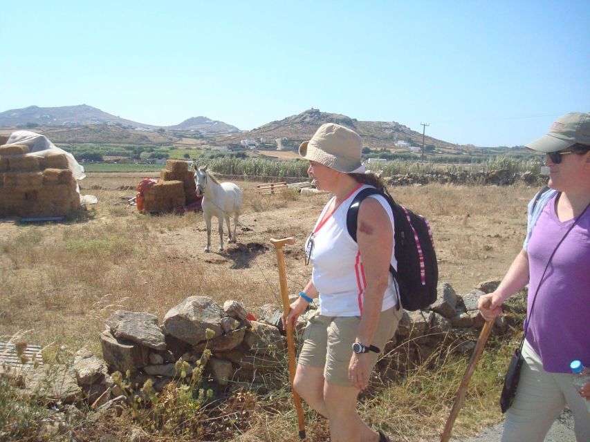 Mykonos Hiking Adventure - Price and value for $64: what you get for the money