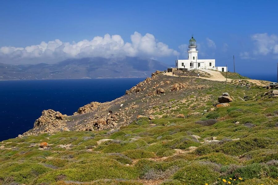 Mykonos: Private Tour Island With A Local - Comfort, included drinks, and what not to expect