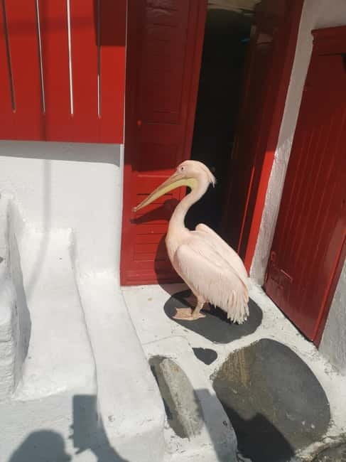 Mykonos: Private Tour with Range Rover - Windmills, Lighthouses, and the Best Photo Stops