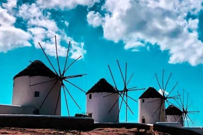 Mykonos Shore Excursion with Pickup from Cruise Ship Terminal - Price and logistics: $83.44 is really for time plus a guide