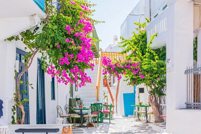 Mykonos Small Group Tour for Cruise Passengers — Port Pickup - Who this Mykonos small group cruise tour is for