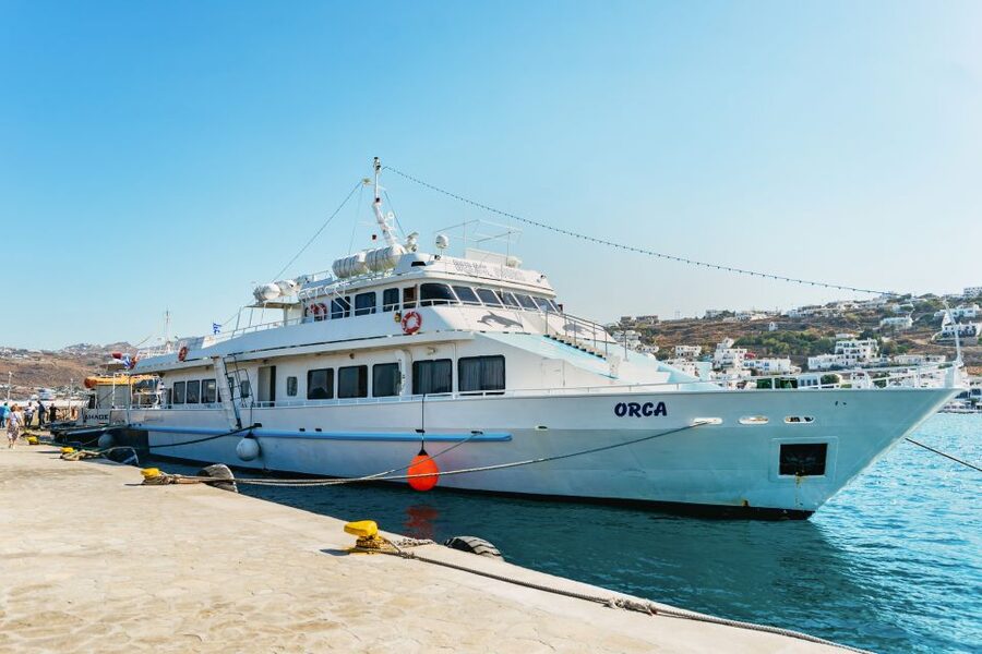 Mykonos Town: Archaeological Site of Delos Guided Day Trip - Museum time: how to use it without rushing