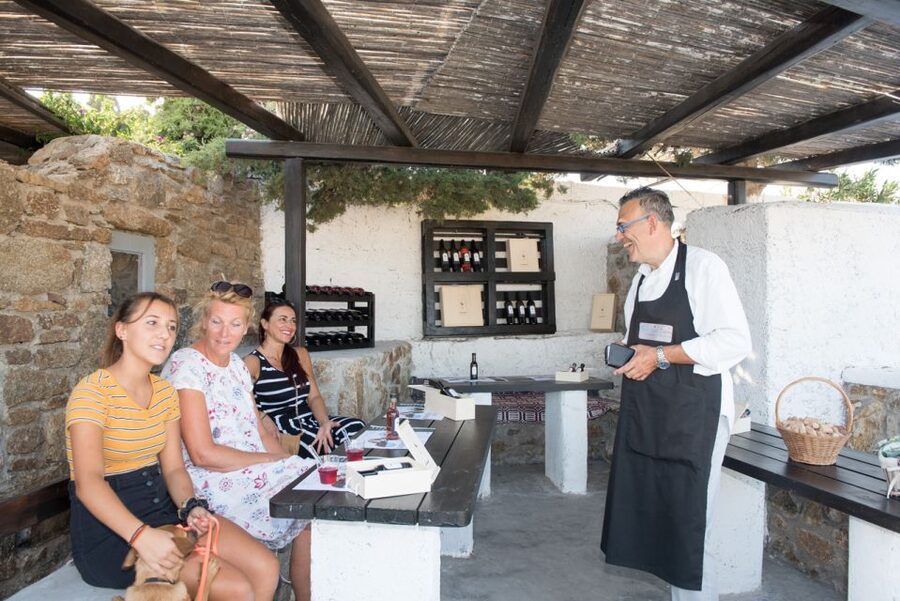 Mykonos: Wine Tasting at a Mykonian Farm - The Traditional Farm Setting, Animals Included