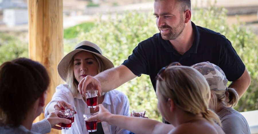 Mykonos: Winery Vineyard Experience with Food & Wine Tasting - What you actually taste: organic wine plus Mykonos plates