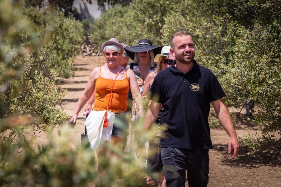 Mykonos: Winery Vineyard Experience with Food & Wine Tasting - Should you book this Mykonos Winery Vineyard Experience?