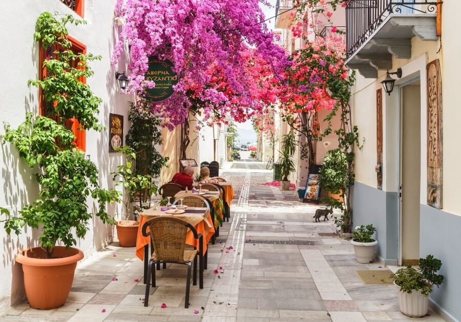 Nafplio: City Walking Tour - The tasting hour: local produce, Tsipouro, and wines