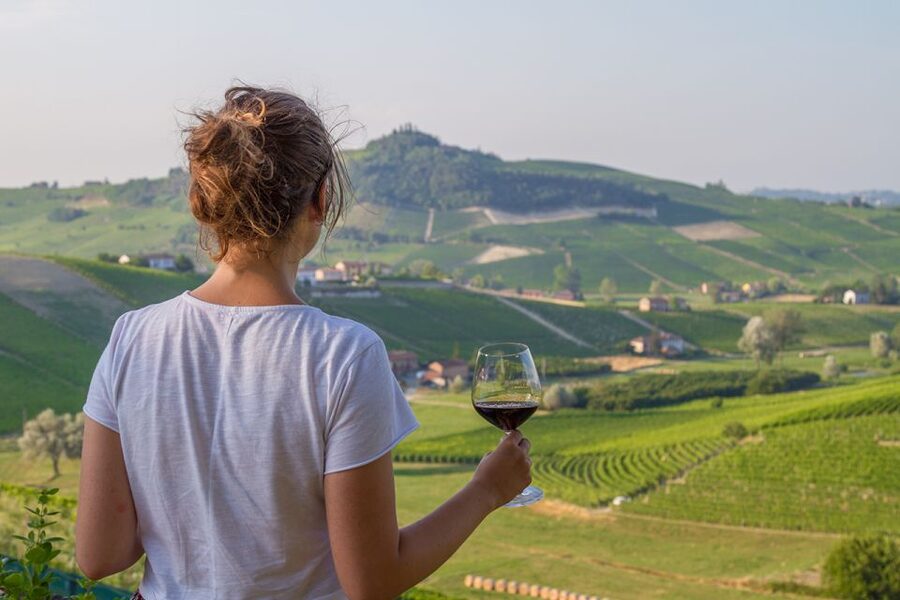 Nafplion: Nemea Vineyards Wine Tour - Nemea’s wine story: why Agiorgitiko takes center stage