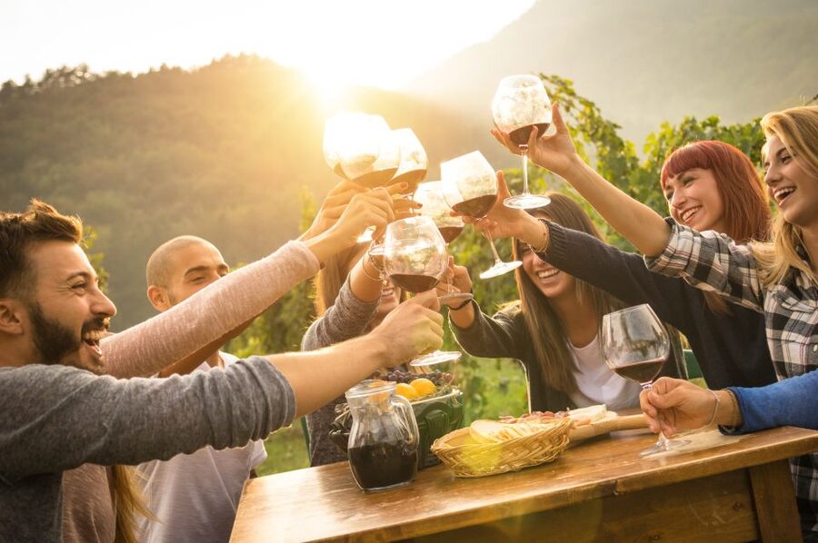 Nafplion: Nemea Vineyards Wine Tour - Booking checklist: the simple things to do before you go