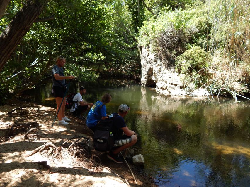 Naxos: A Riverbank Adventure (Kinidaros - Eggares villages) - What to bring so the day stays comfortable